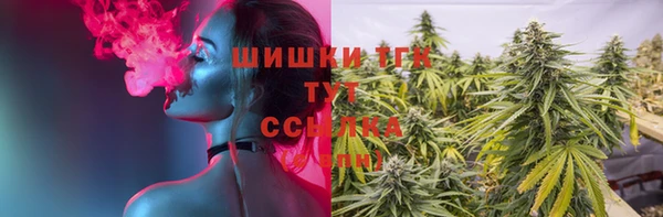 PSILOCYBIN Аркадак