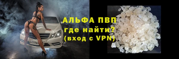 PSILOCYBIN Аркадак
