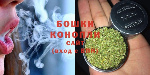 PSILOCYBIN Аркадак