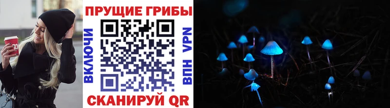 где купить наркотик  Пустошка  сайты даркнета как зайти  Галлюциногенные грибы GOLDEN TEACHER 